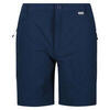 Heren Highton wandelshort (Blauwe Vleugel)