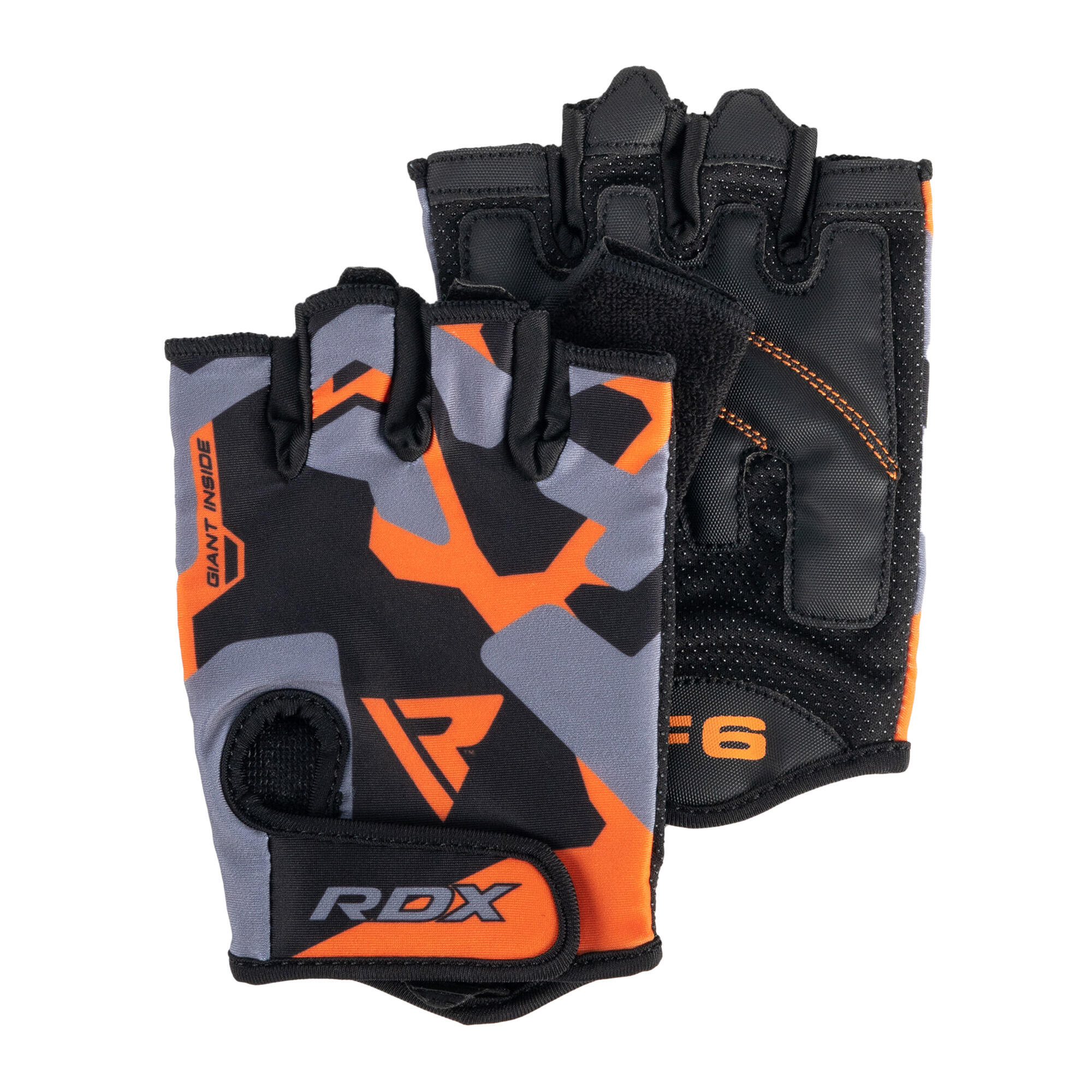 RDX SPORTS picture