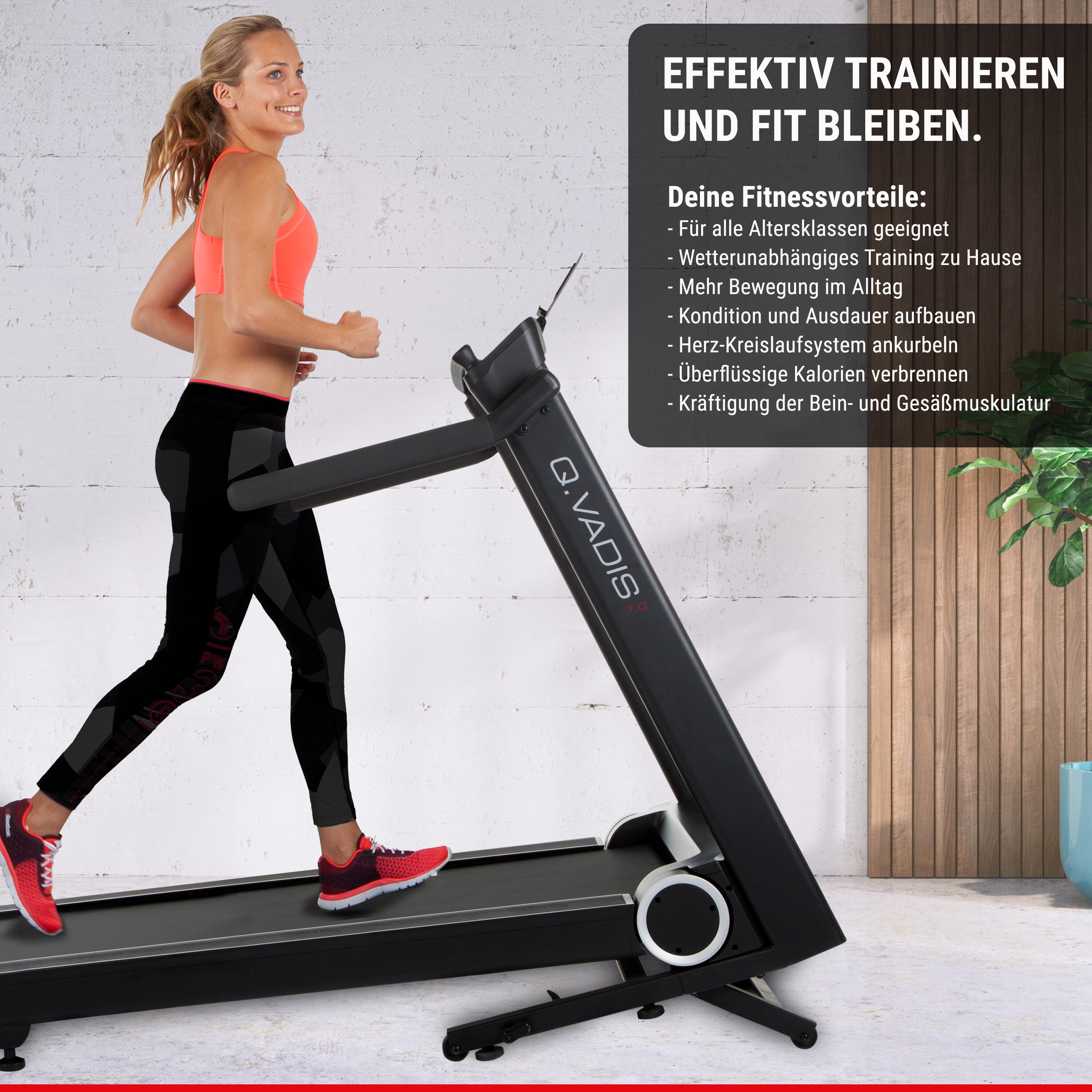 Cinta de correr Hammer Q. VADIS 7.0, con envío y montaje incluido 7/8