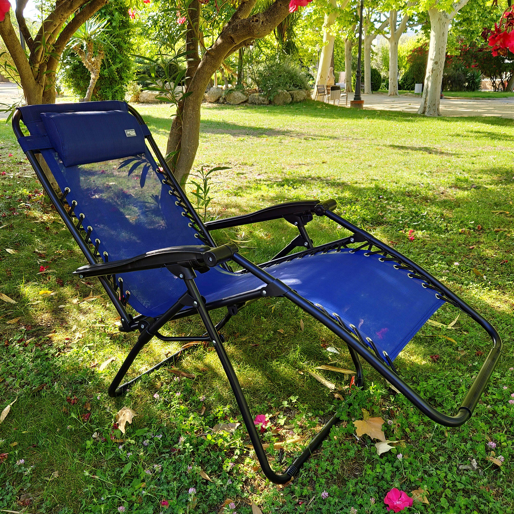 Aktive Cadeira dobrável para jardim de gravidade zero azul 2 posições 3/7