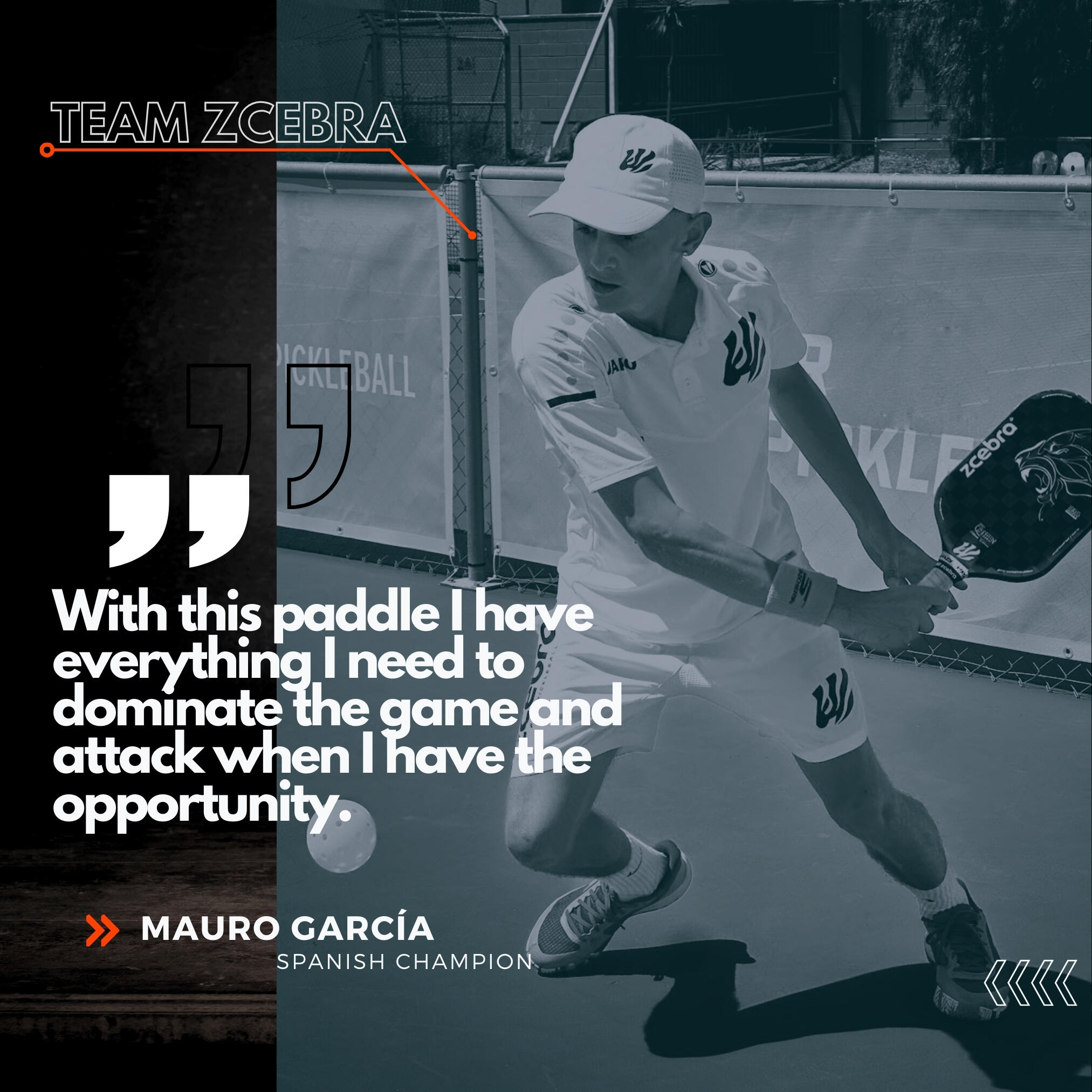 Pala de Pickleball Carbono Zcebra The Queen 7/7