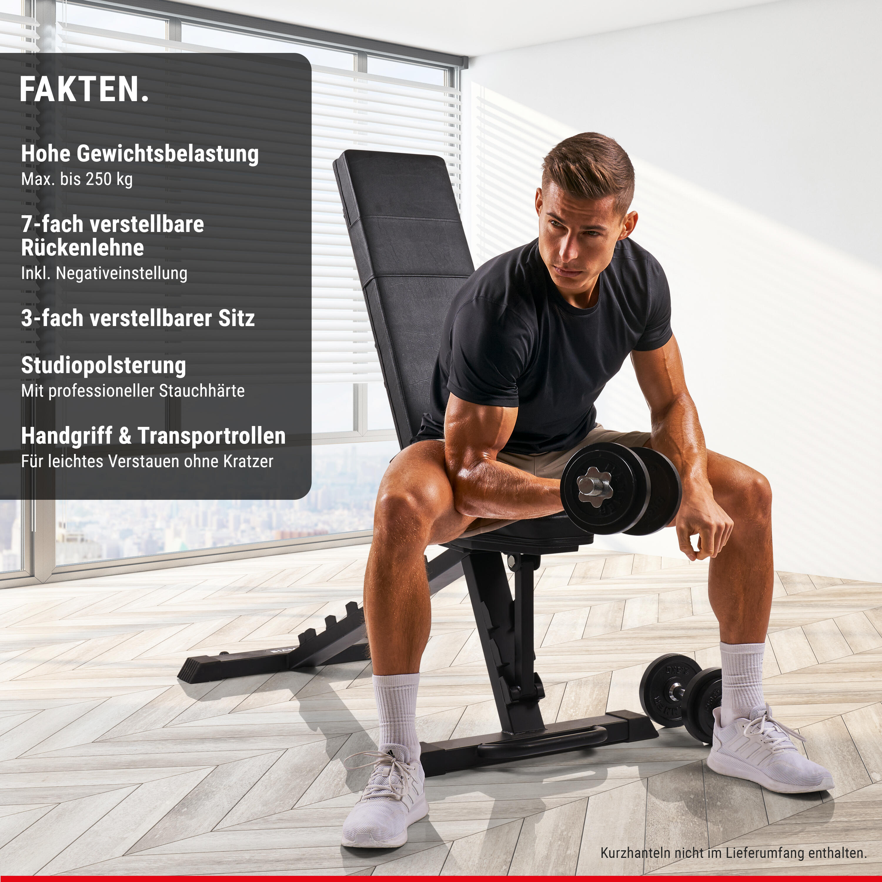Posilovací lavice HAMMER skládací s negativním sklonem Folding Bench Force 6.0 2/7