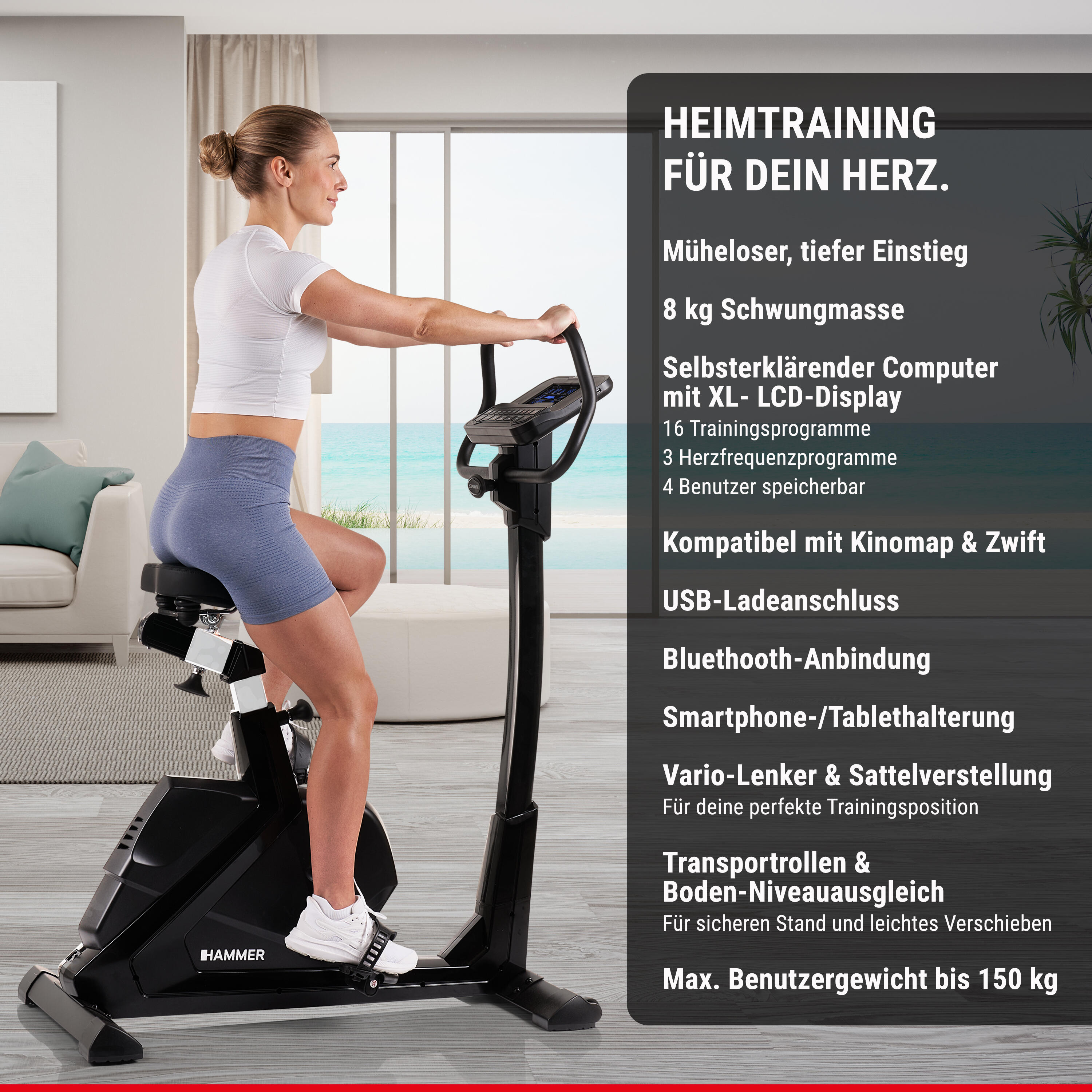 Bicicleta ergométrica Hammer VARON XTR II, con envío y montaje incluido 2/8