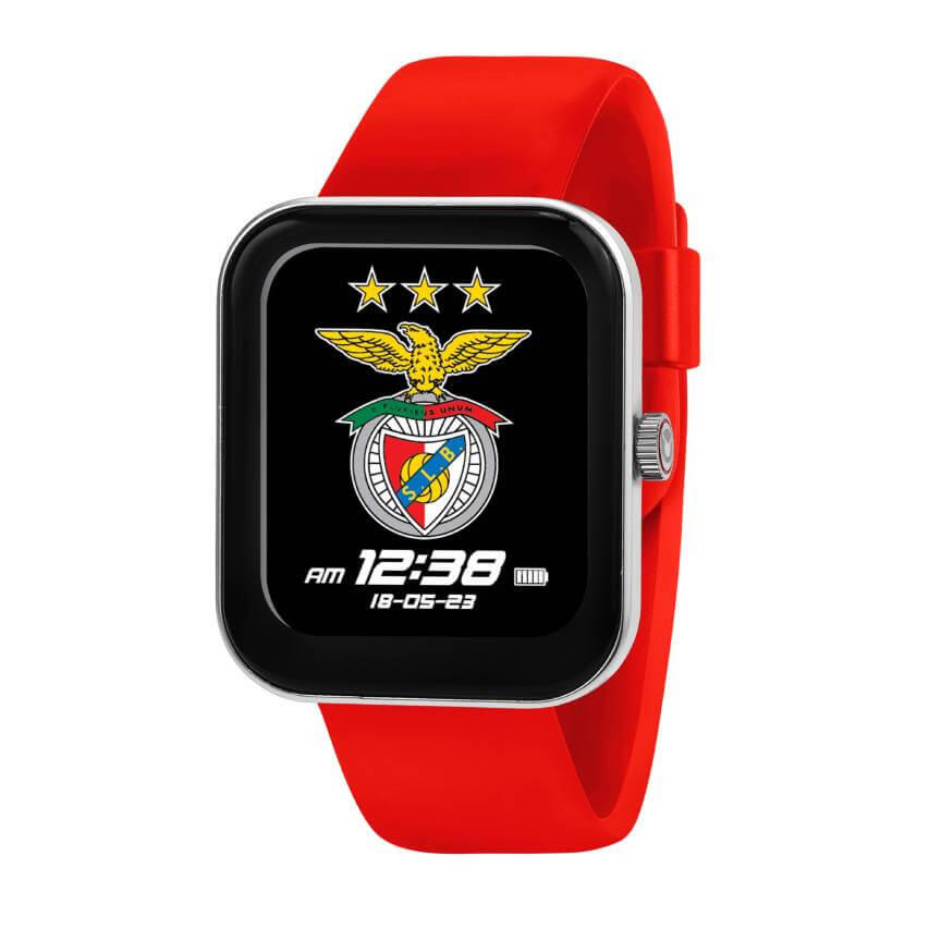 SL BENFICA picture
