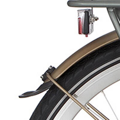 Stijlvol alpina spatbord achter 24 inch curve in matt gold