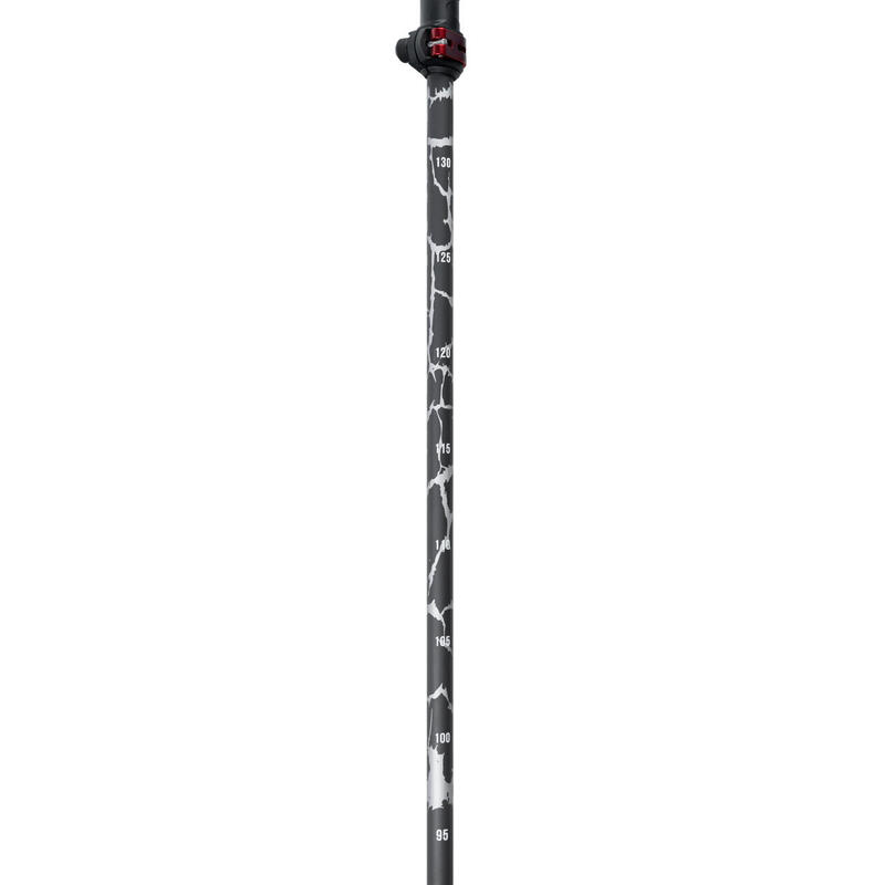 Bâtons de marche nordique Alpinus Braunberg