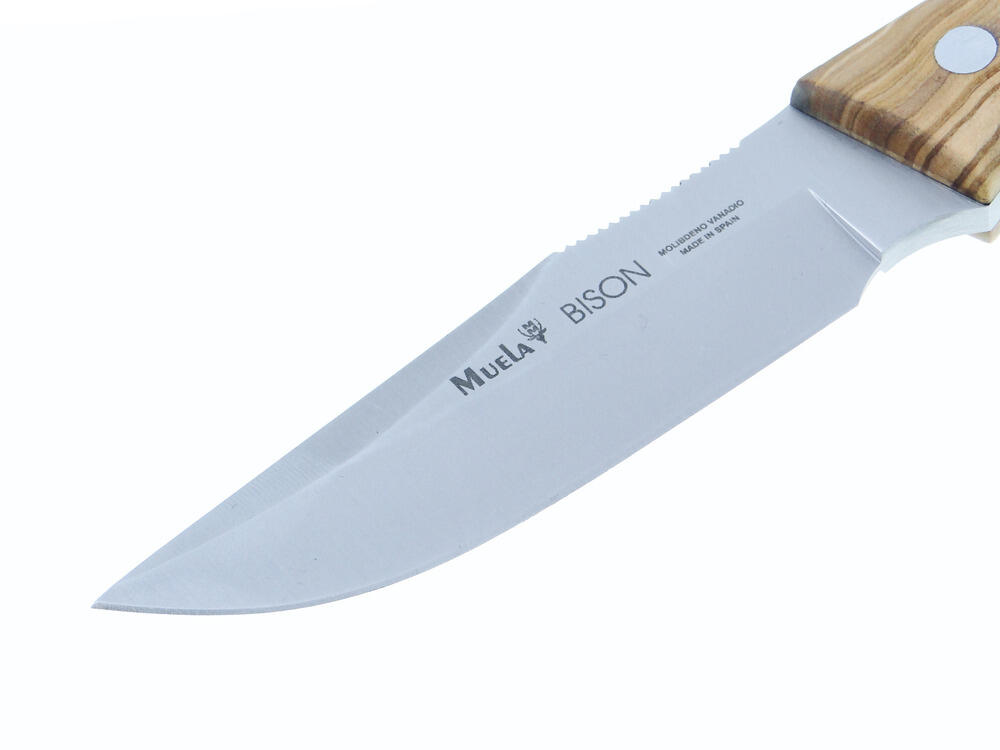 Nóż myśliwski buscraft hiszpański Bison Olive Wood 4/7
