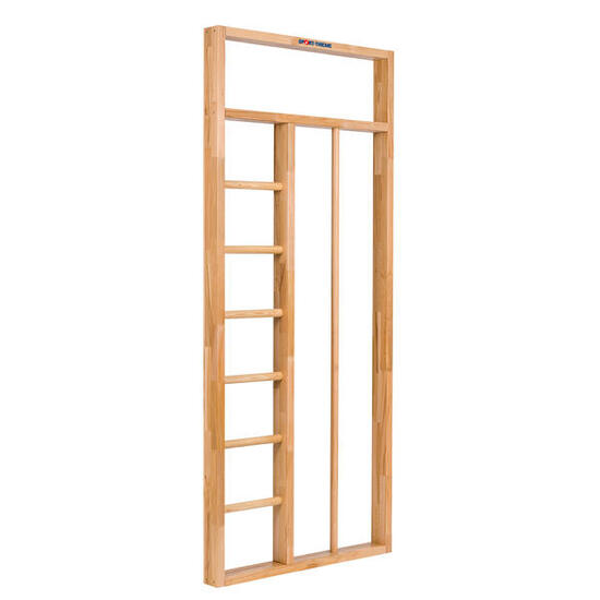 Turnwand-Einzelelement TuWa Kletterstangenteil mit Leiter Turnen