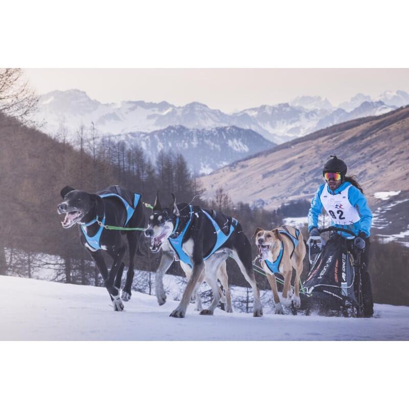 Veste Softshell à capuche – Inlandsis 4/5