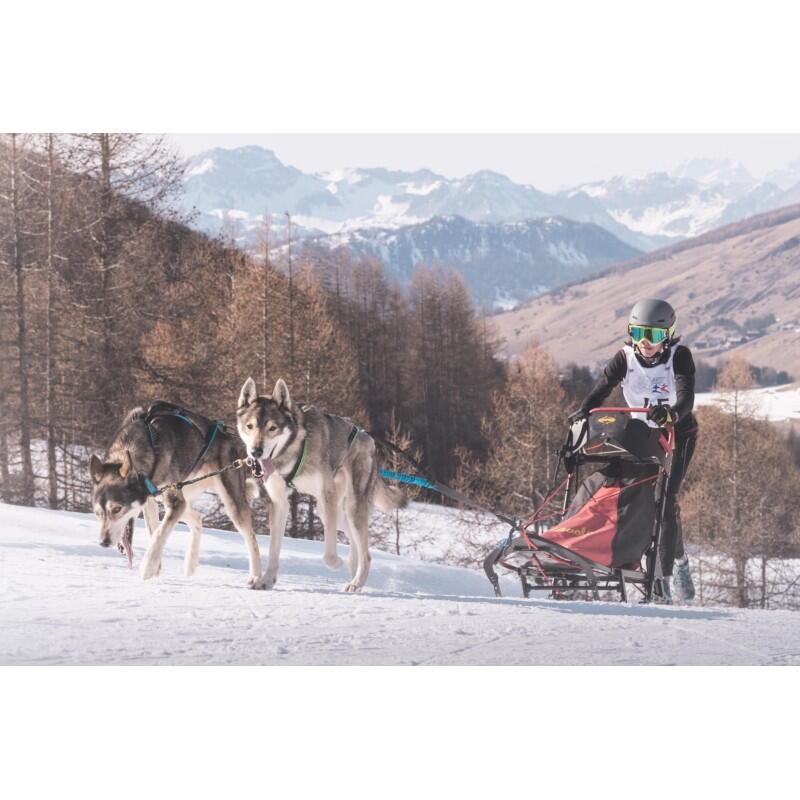 Ligne de trait 2 chiens cani-rando TwinCross – Inlandsis 2/4