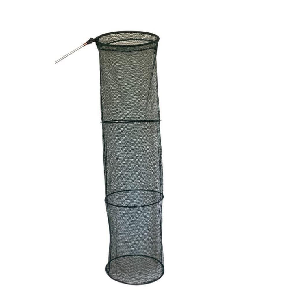 Embalagem gourmet WaterQueen 150cm (x1) 2/6