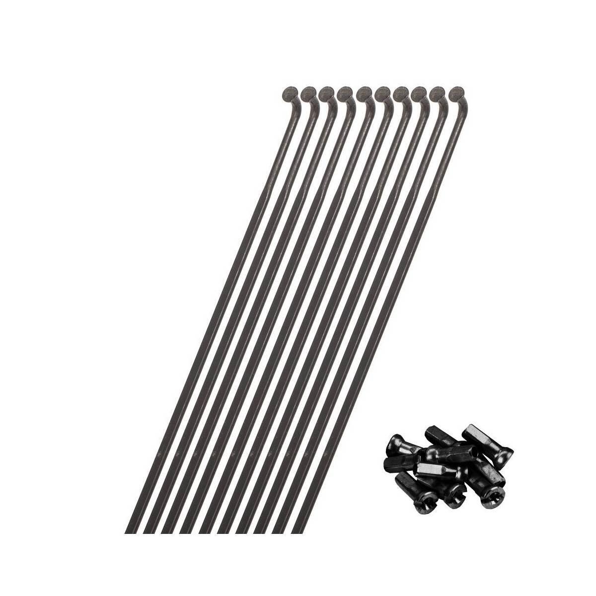 MICHE Paprsek předního kola DX zadního SX Miche XM-50/XM-45 (x10)