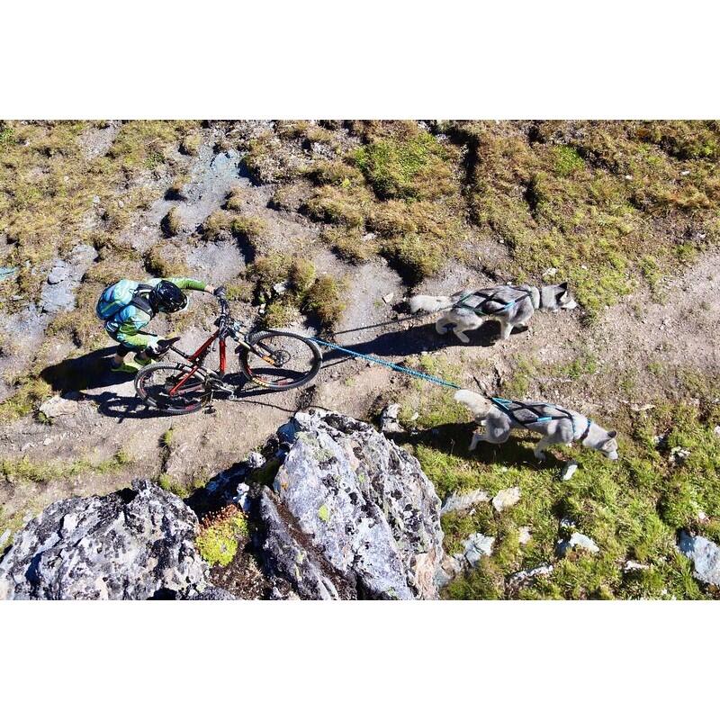 Laisse cani-VTT 2 chiens Twinjor – Inlandsis 2/3
