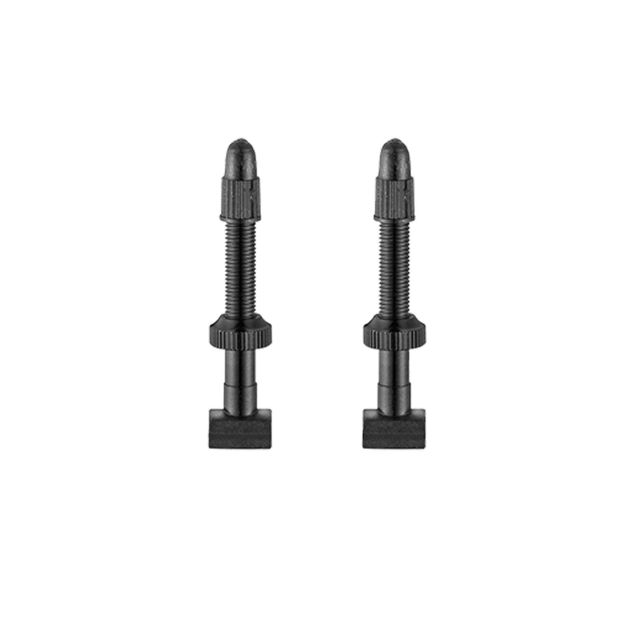 Giant Tubeless Valves