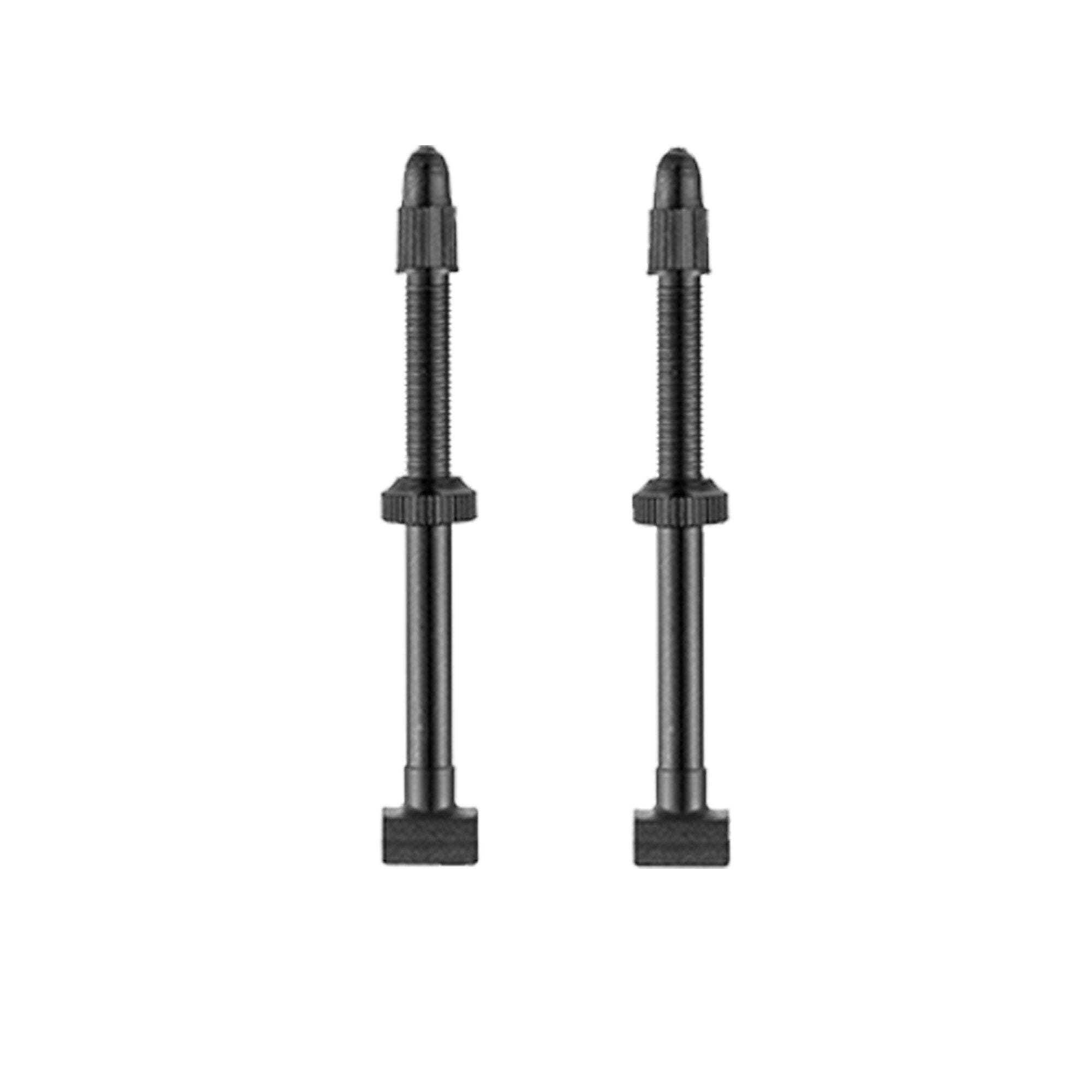 Giant Tubeless Valves
