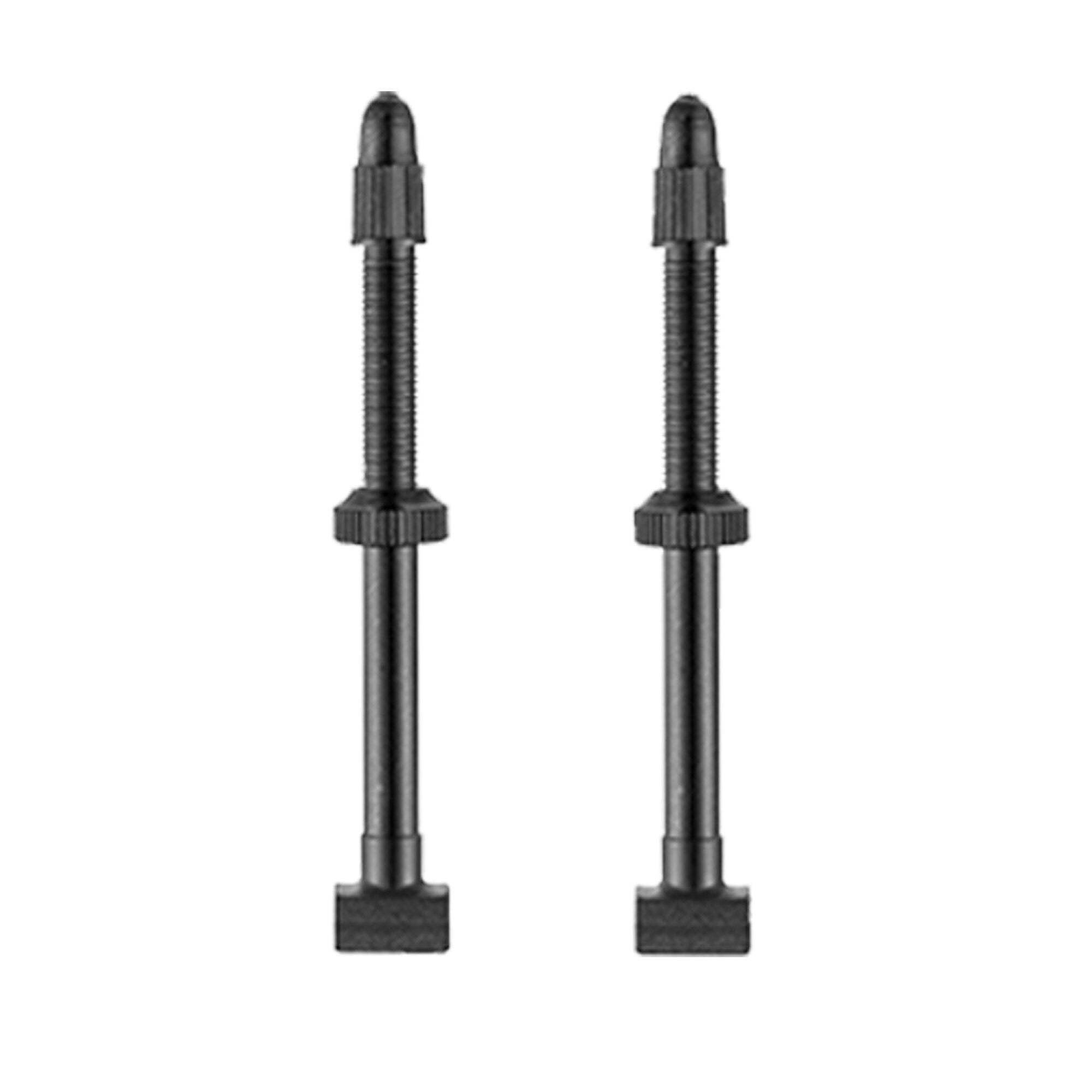 Giant Tubeless Valves