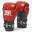 guantes de boxeo Ambassador LEONE