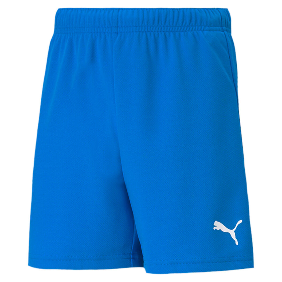PUMA Puma Teamrise Short Jr 02 Korte Broek Kind