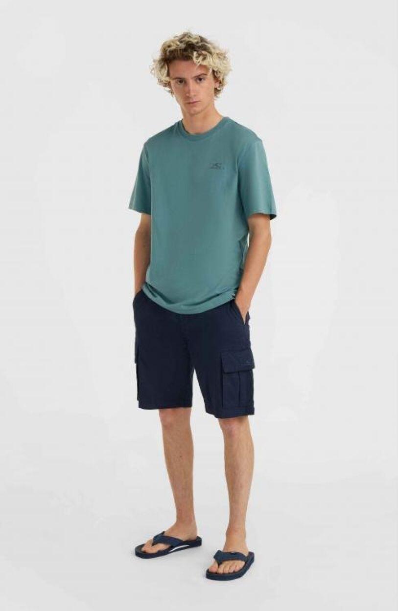 O'NEILL O'neill Shorts ESSENTIALS CARGO SHORTS  Hommes Outer Space 3/7