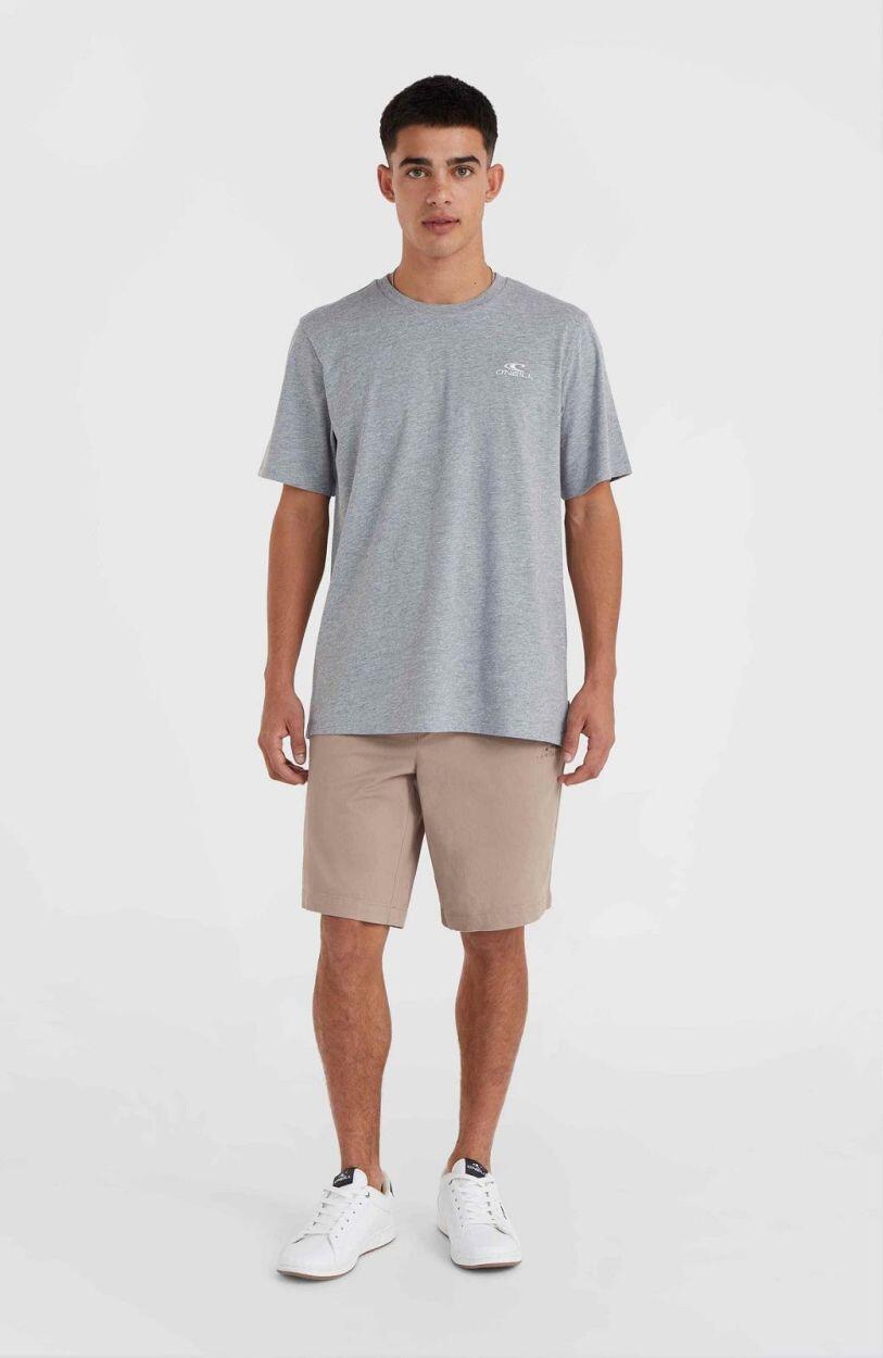 O'NEILL O'neill Shorts ESSENTIALS CHINO SHORTS  Hommes Pumpkin Smoke 3/7