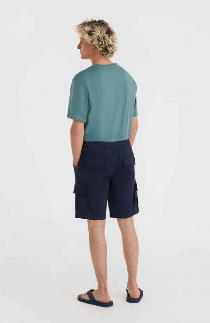 O'NEILL O'neill Shorts ESSENTIALS CARGO SHORTS  Hommes Outer Space 4/7