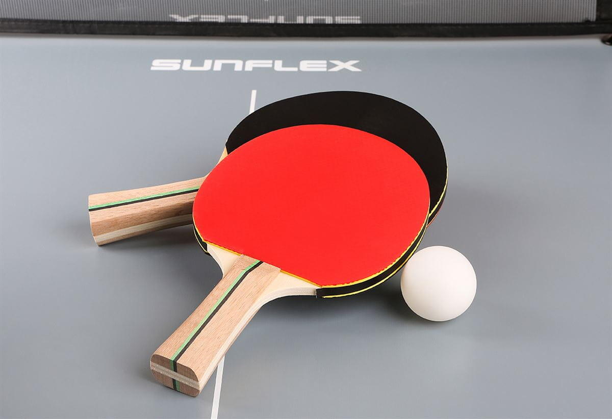 Sunflex Tischtennis Set Midi 2/2