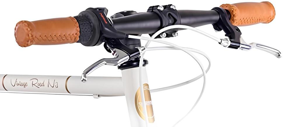 Rower miejski Chrisson Vintage Road N3