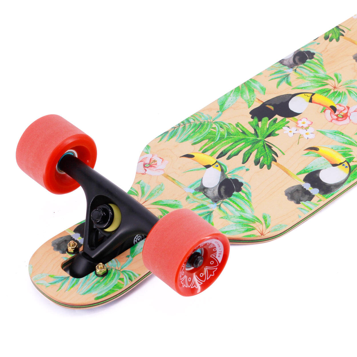 BTFL TOCO - Tukan longboard infantil para niños de 5 años - tabla completa 3/6