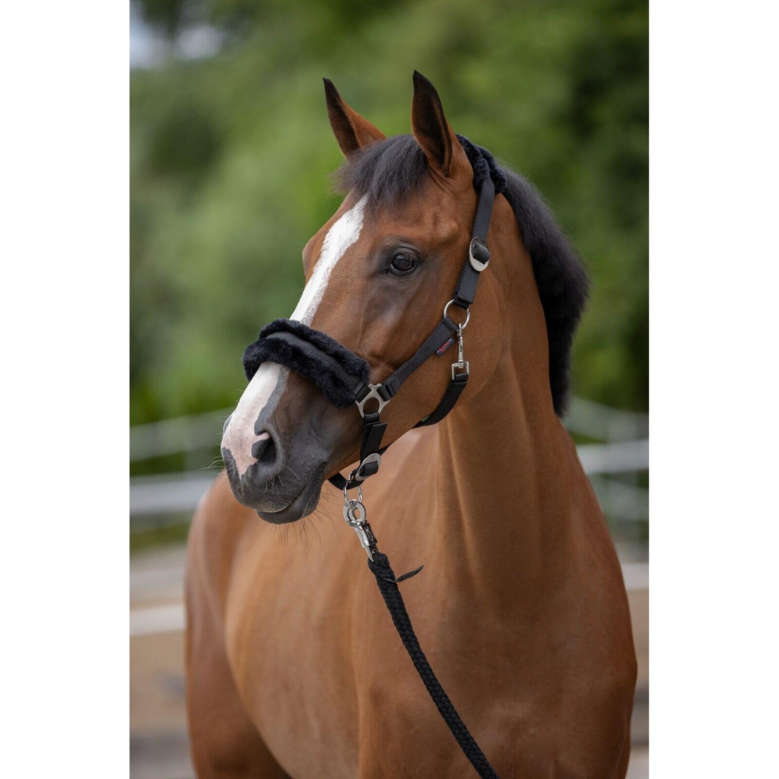 Licol en fourrure pour cheval Covalliero ClassicSoft 2/3