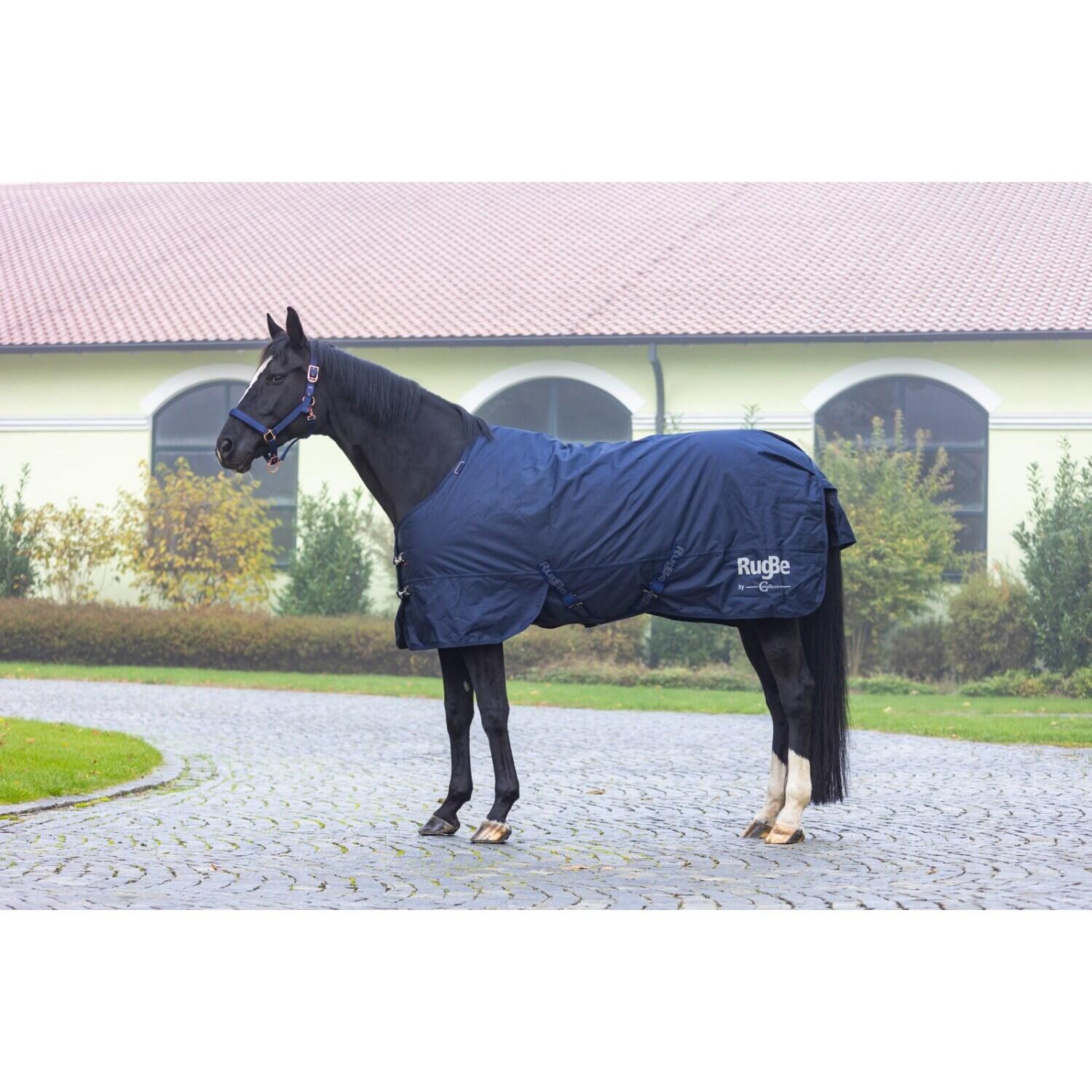 Couverture d'extérieur pour cheval Covalliero RugBe IceProtect 200g 3/5