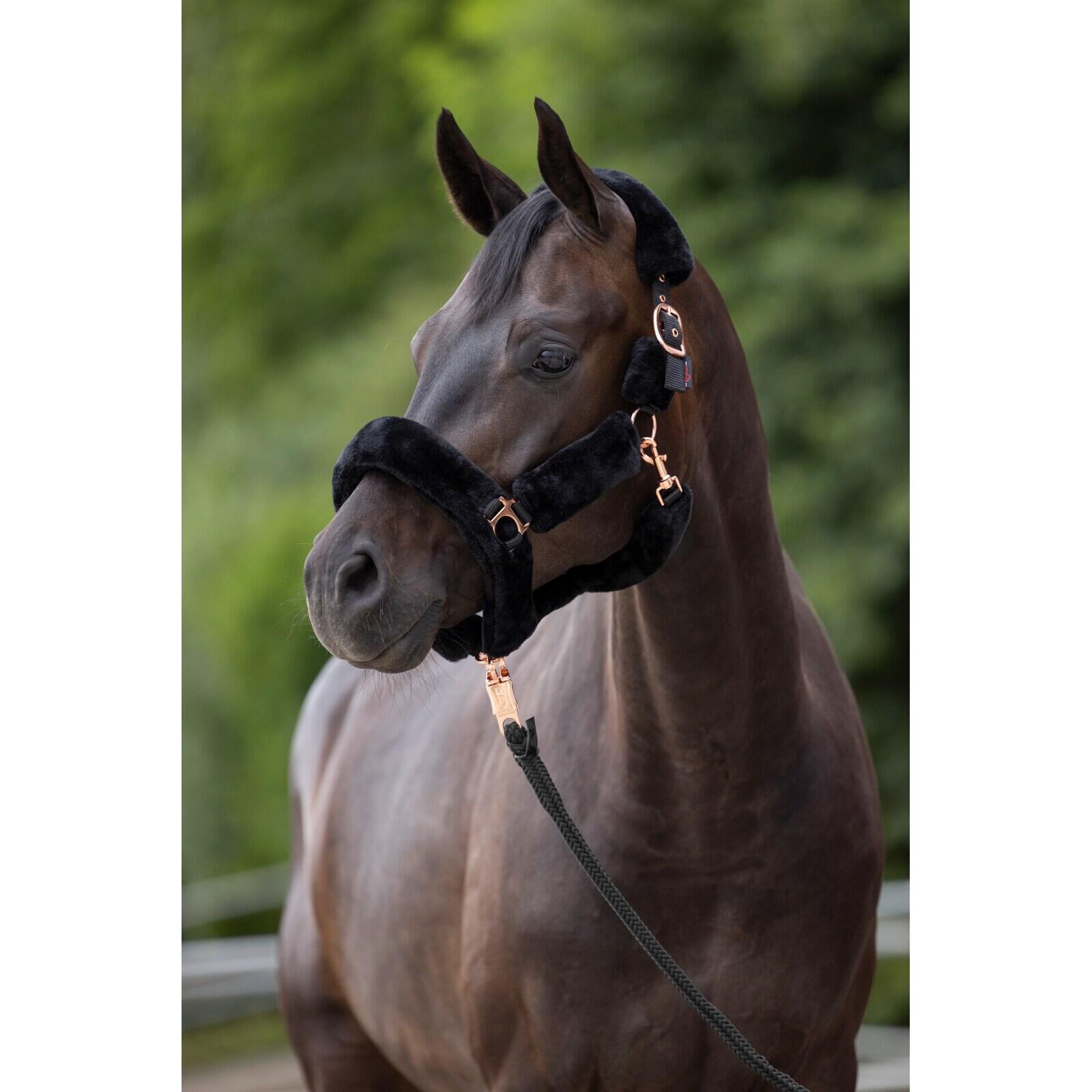 Licol en fourrure pour cheval Covalliero SuperSoft 4/4