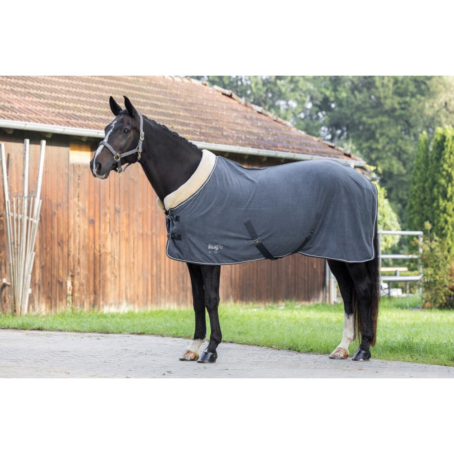 Couverture polaire pour cheval Covalliero RugBe Royal 5/5