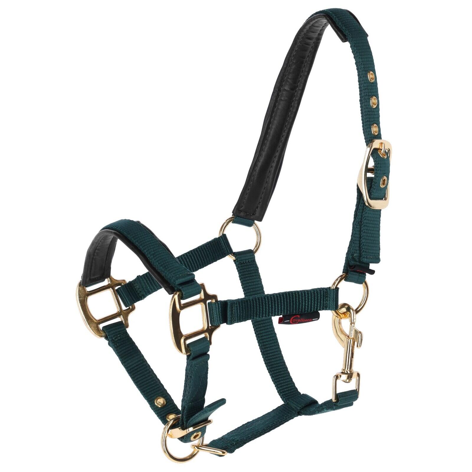 Halster voor paarden Covalliero TopLine 2/2