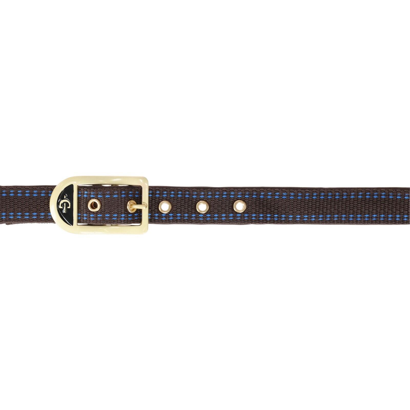 Halster voor paarden Covalliero Royal 2/4
