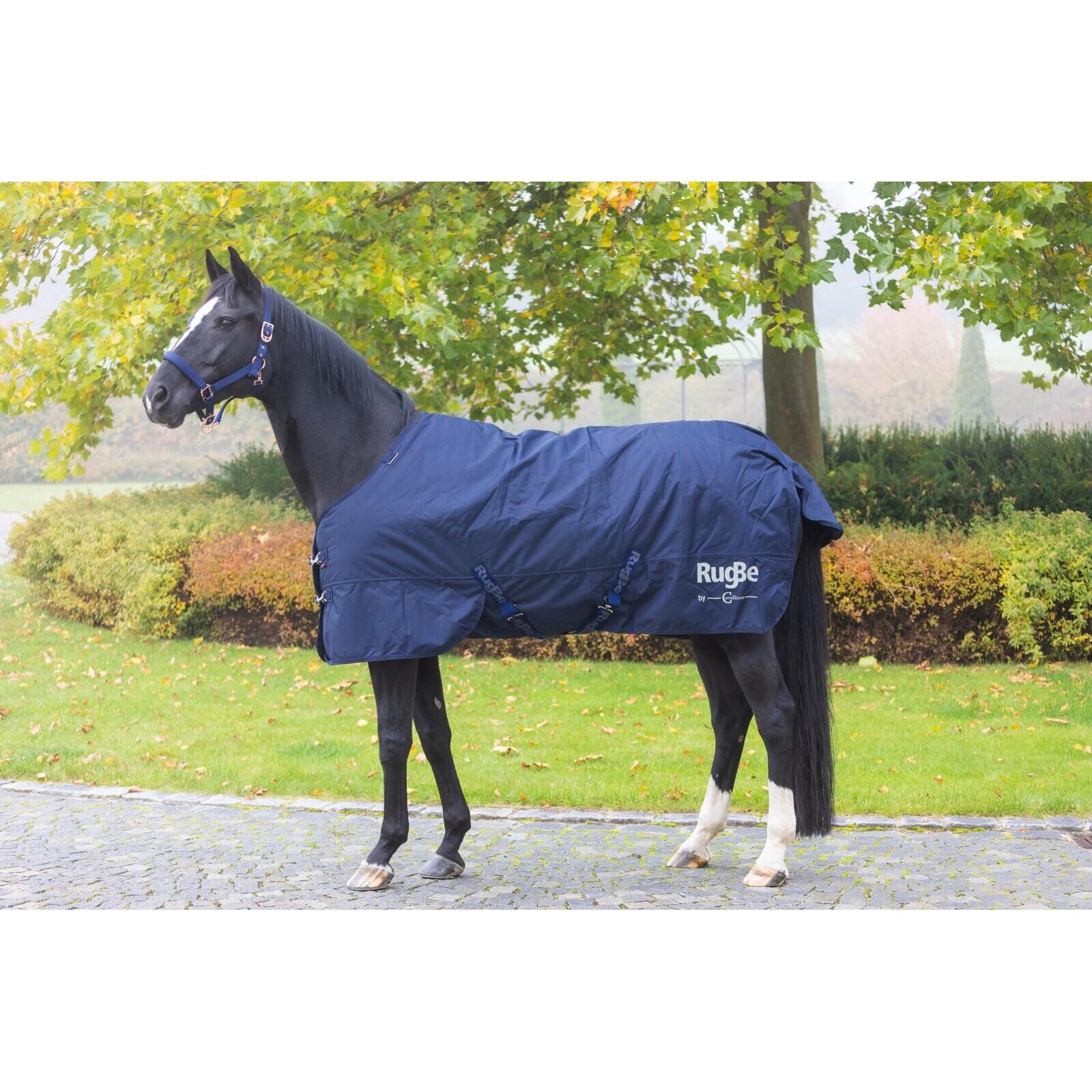 Couverture d'extérieur pour cheval Covalliero RugBe 300g 3/5