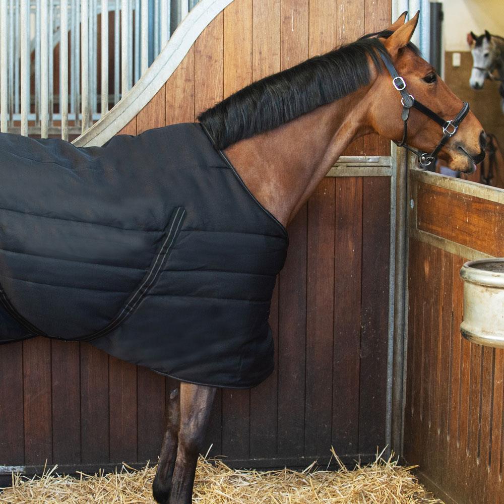 EQuest Ottawa 0g Horse Stable Blanket