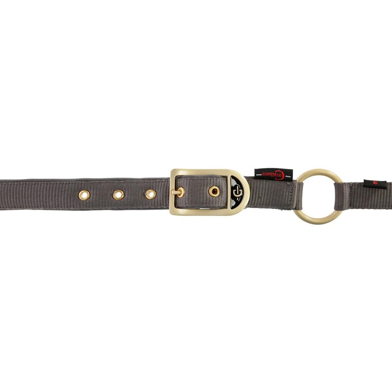 Licol pour cheval Covalliero Classy 3/4