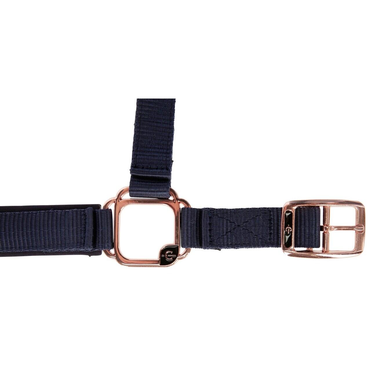 Licol pour cheval Covalliero Classy 3/4