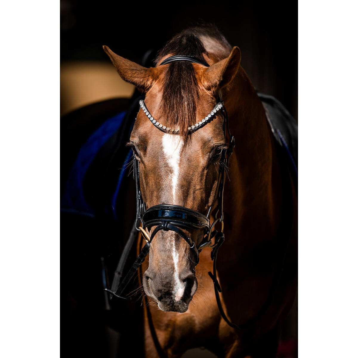 Bridon Special Guy HB Noir 6/6