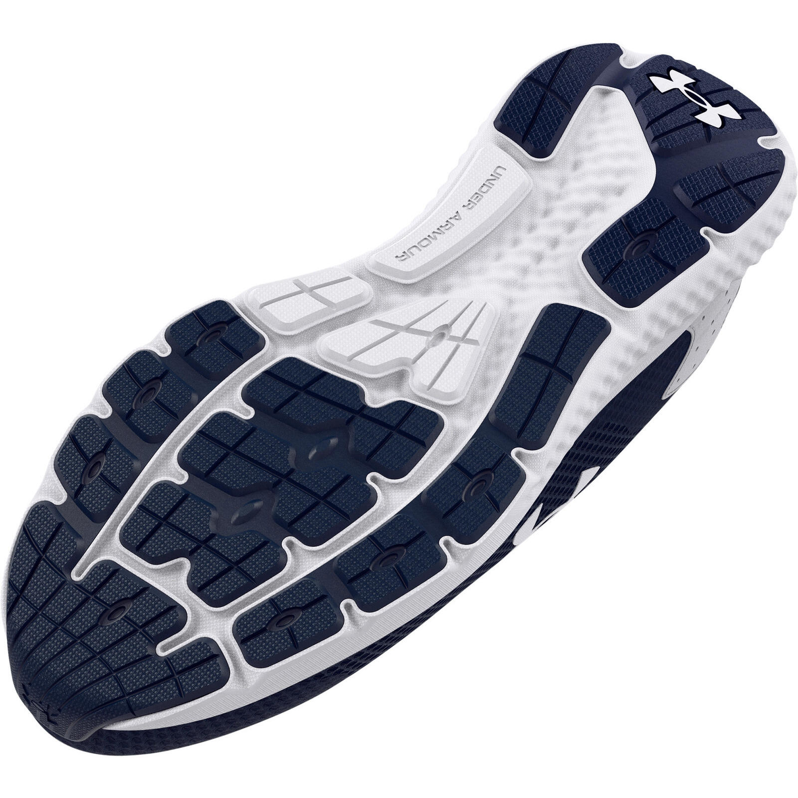 Sneakers Under Armour UA Charged Rogue 3, Blauw, Mannen 5/5