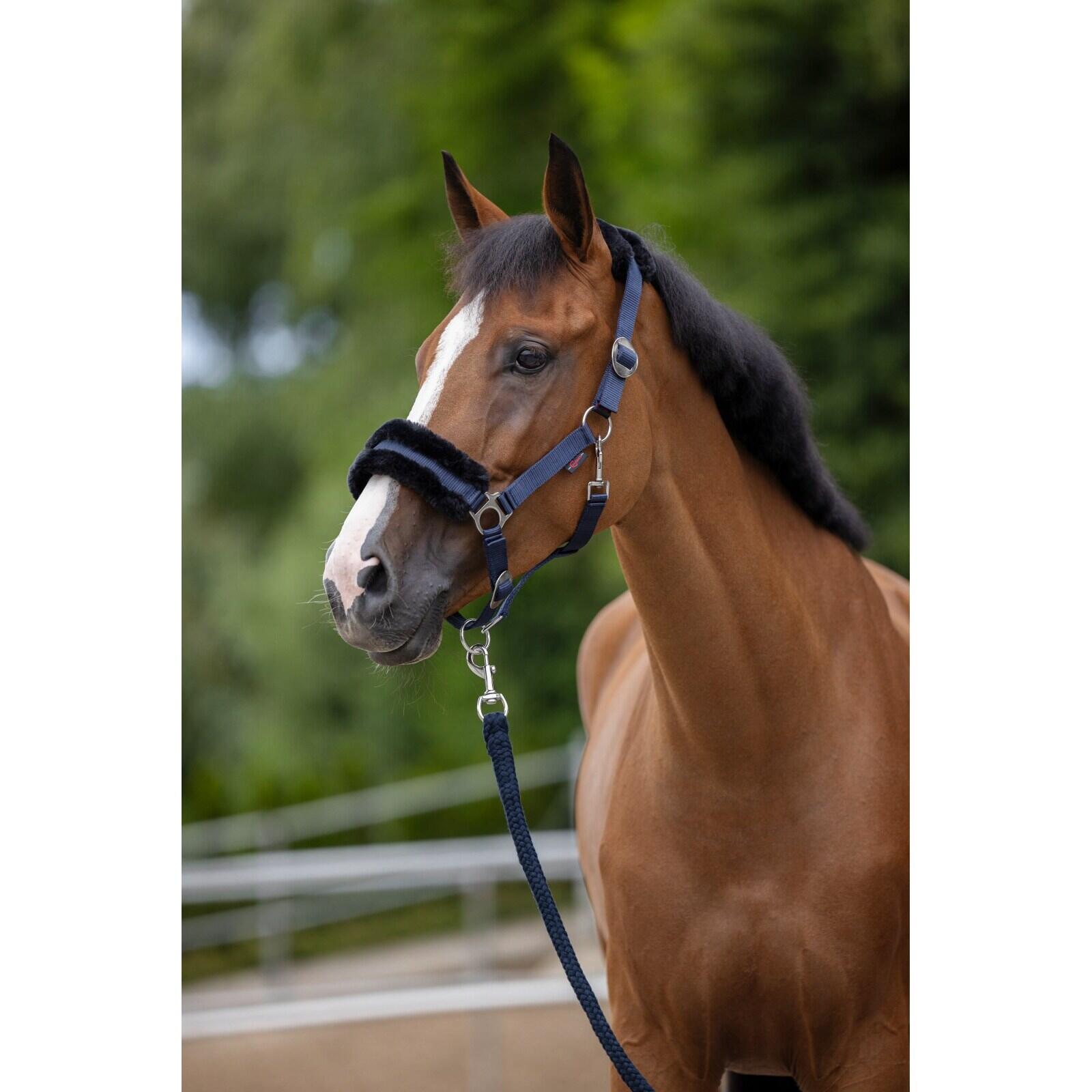 Licol en fourrure pour cheval Covalliero ClassicSoft 3/3