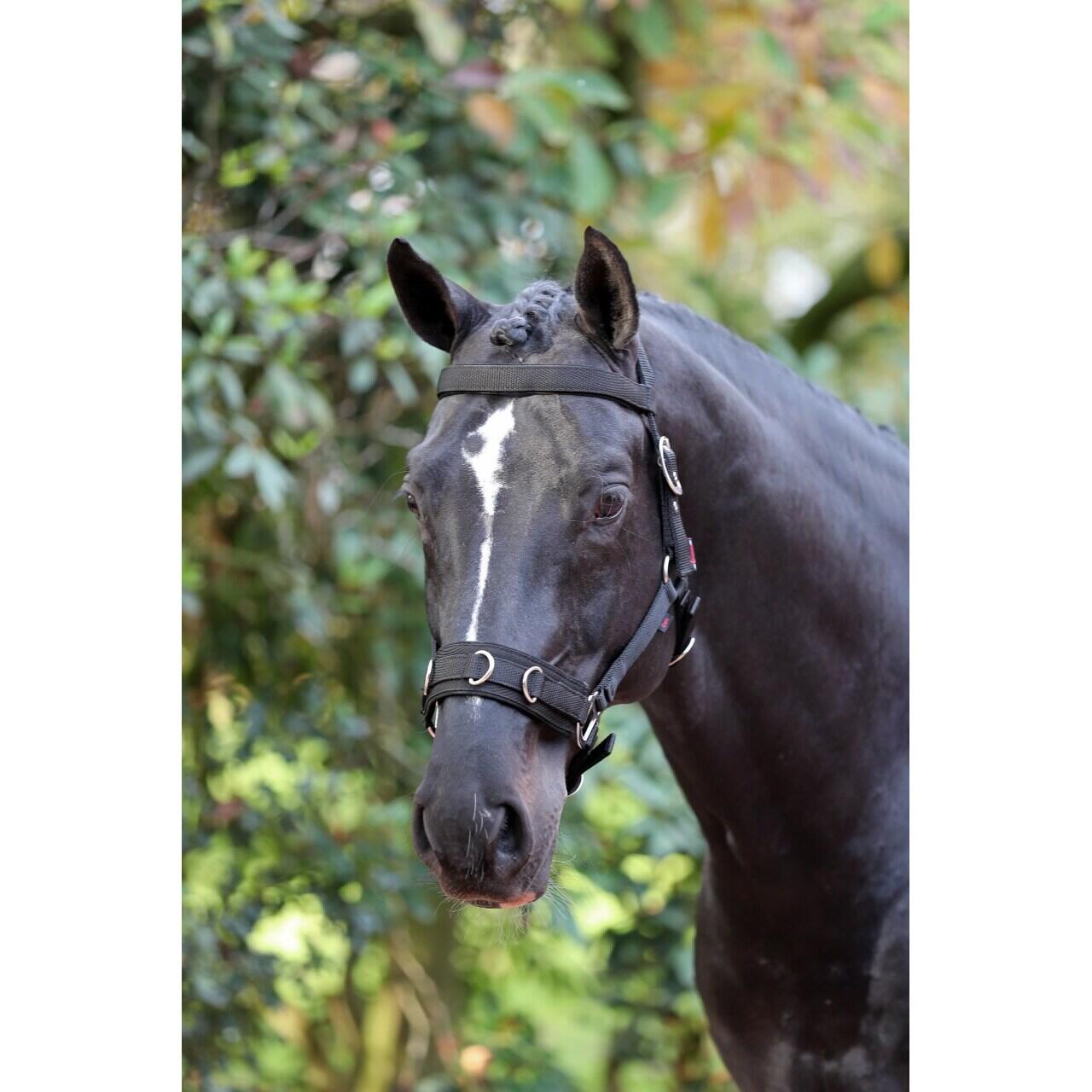 Caveçon en plastique pour cheval Covalliero 2/2