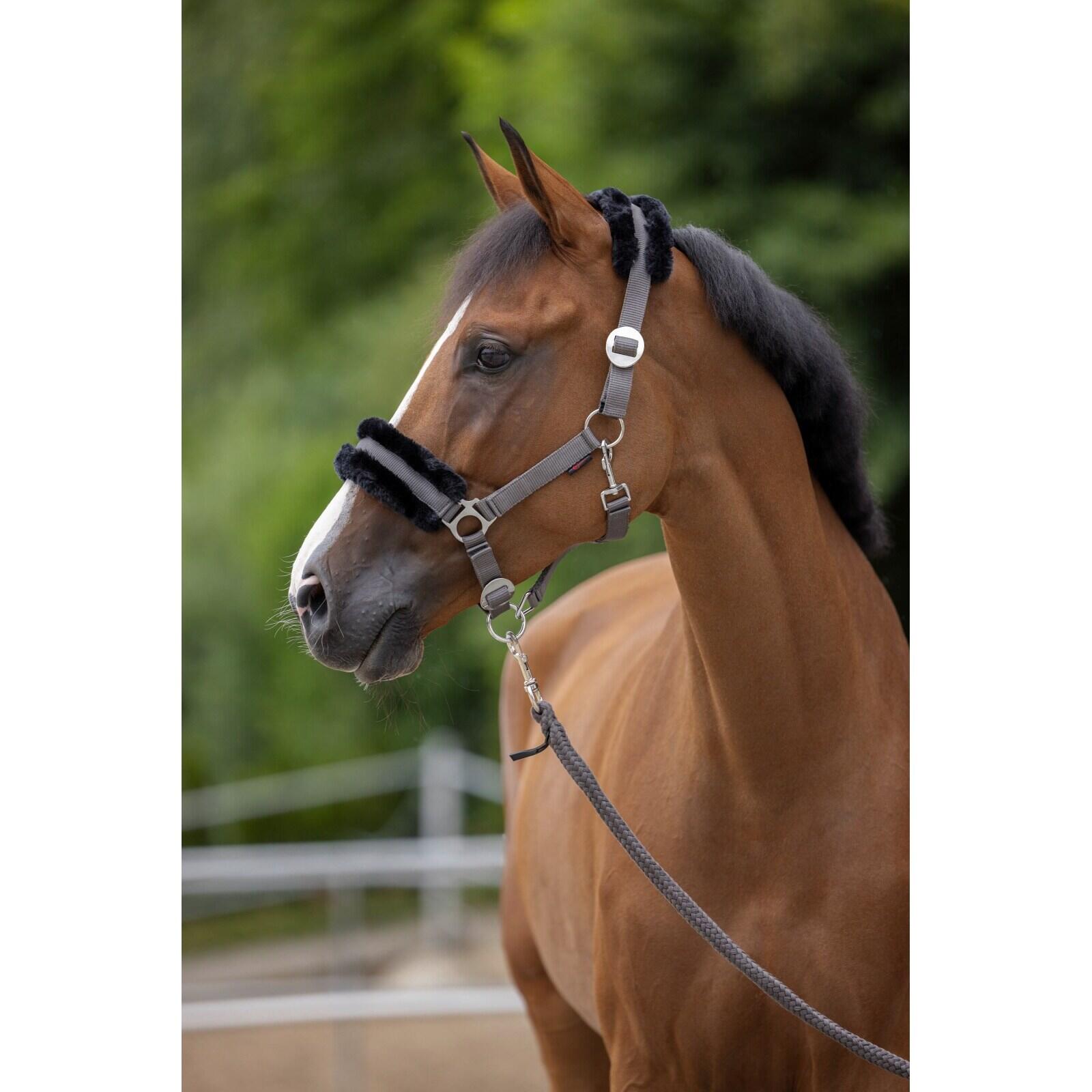 Licol en fourrure pour cheval Covalliero ClassicSoft 4/4