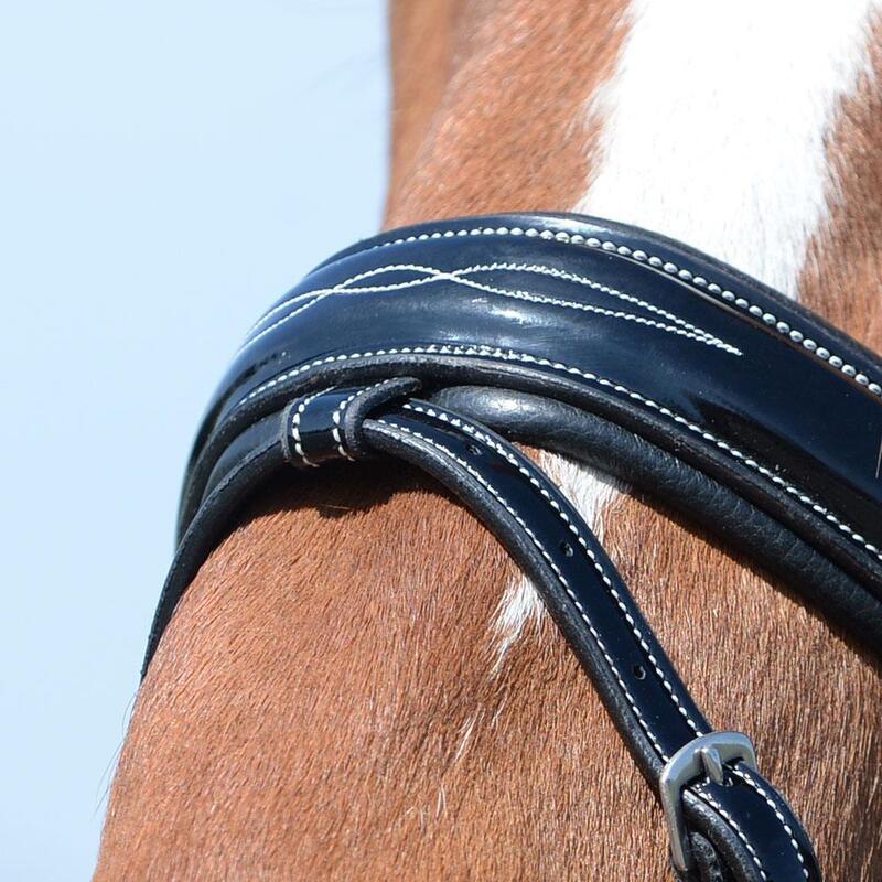 Bridle EQuest fényes varratok