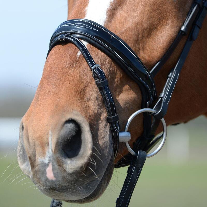 Bridle EQuest fényes varratok