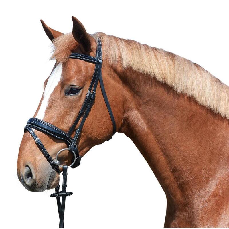 Bridle EQuest fényes varratok