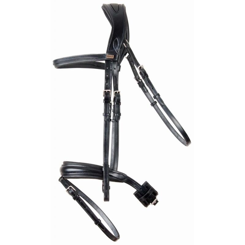 Bridles T de T Matisse