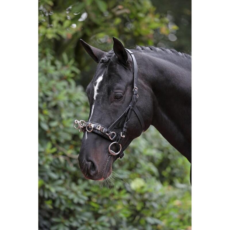 Caveçon en cuir pour cheval Covalliero Exclusif