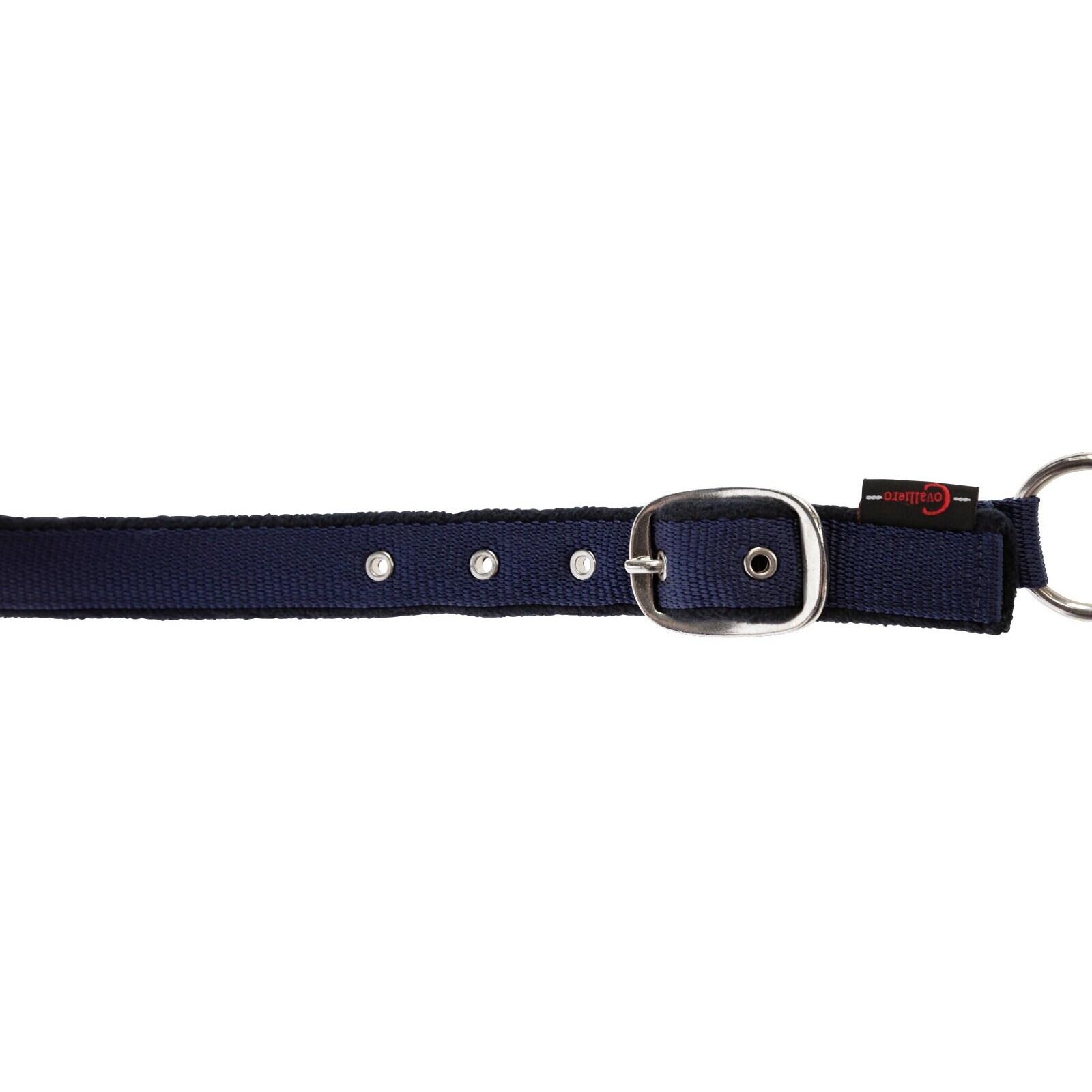 Licol pour cheval Covalliero Dexter 3/3