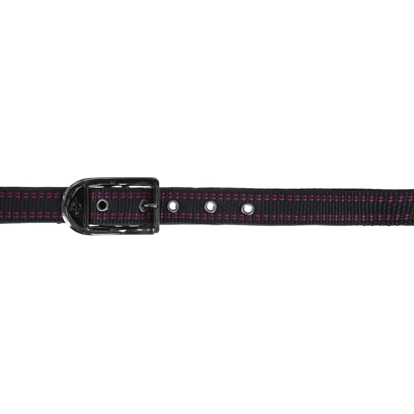 Licol pour cheval Covalliero Royal 2/4